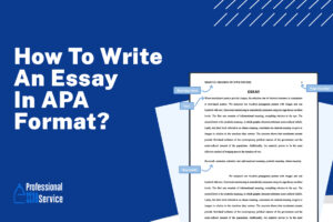 Essay in APA Format